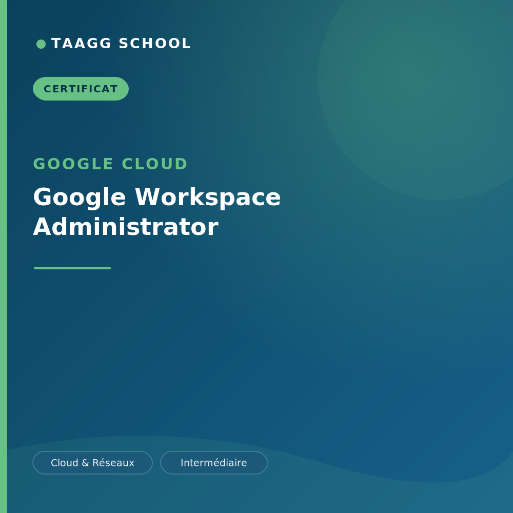 Google Workspace Administrator