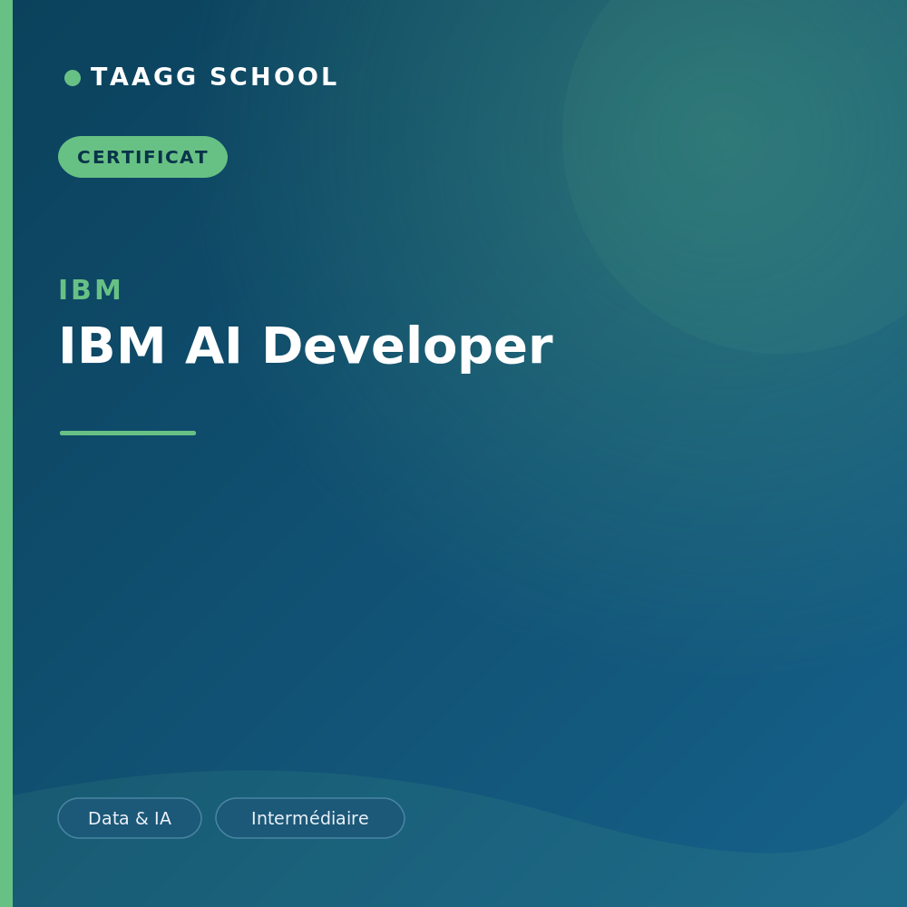 IBM AI Developer