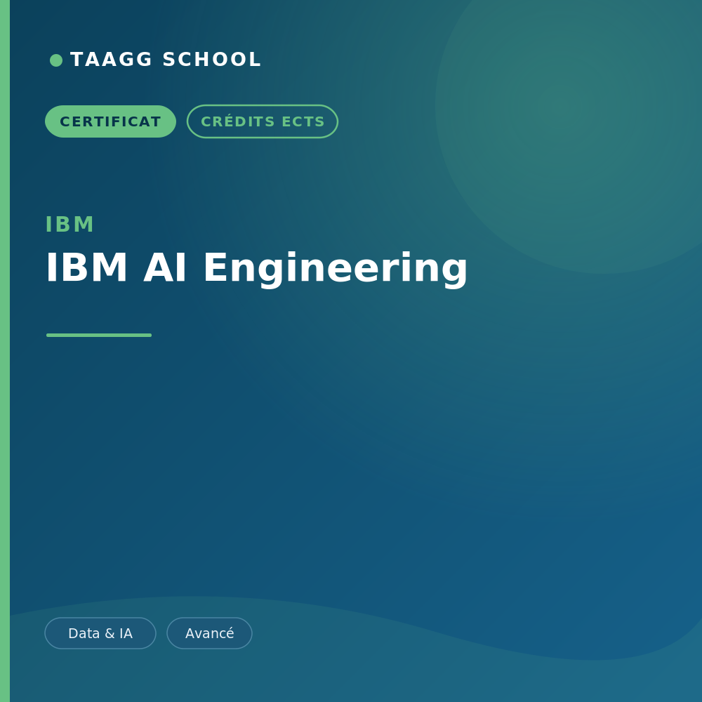 IBM AI Engineering