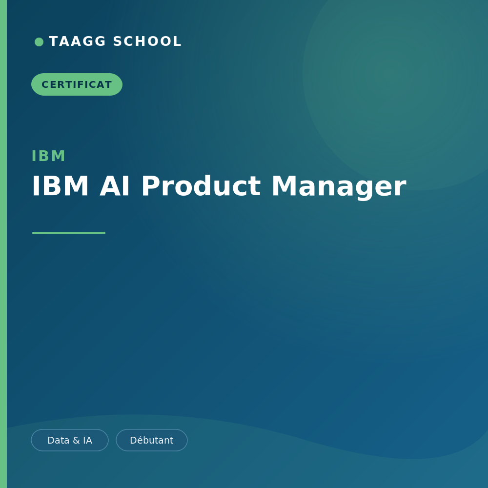 IBM AI Product Manager
