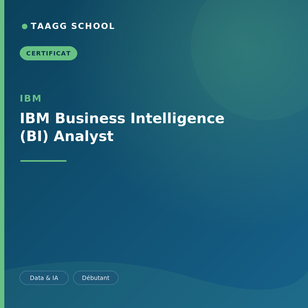IBM Business Intelligence (BI) Analyst