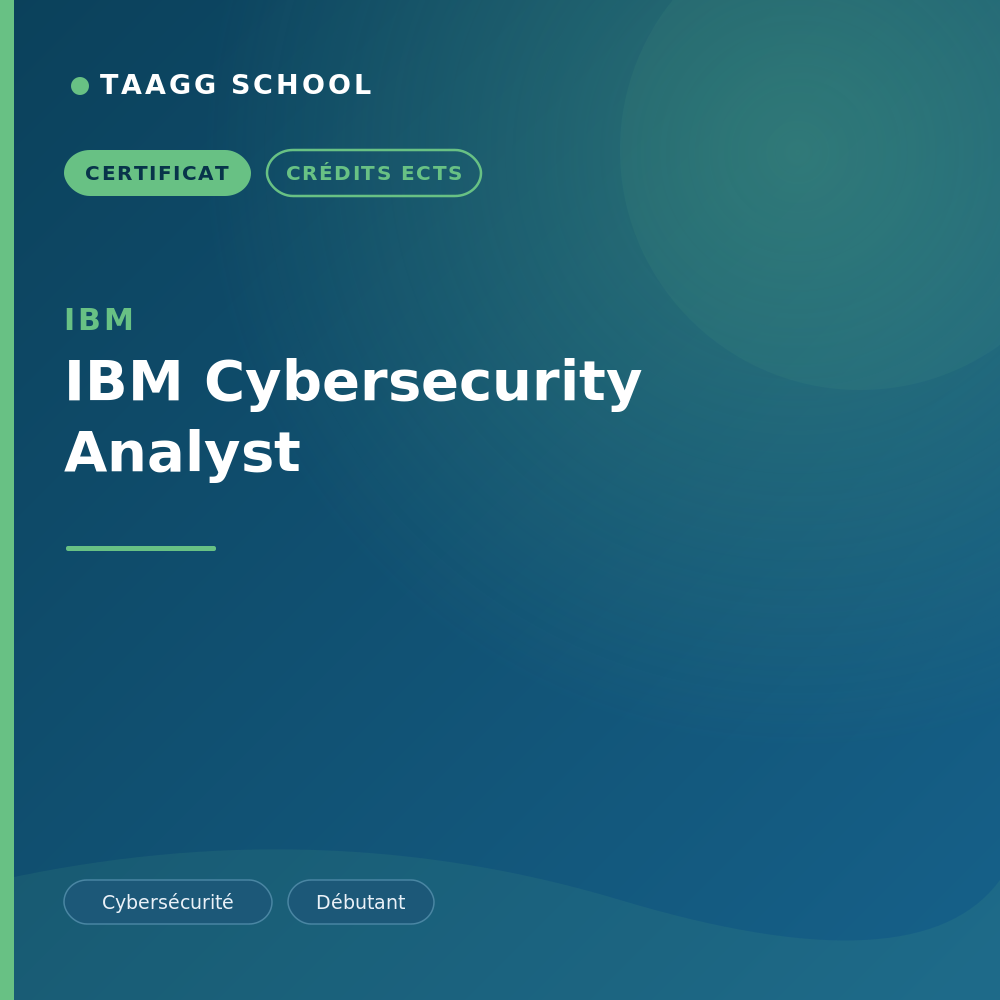 IBM Cybersecurity Analyst