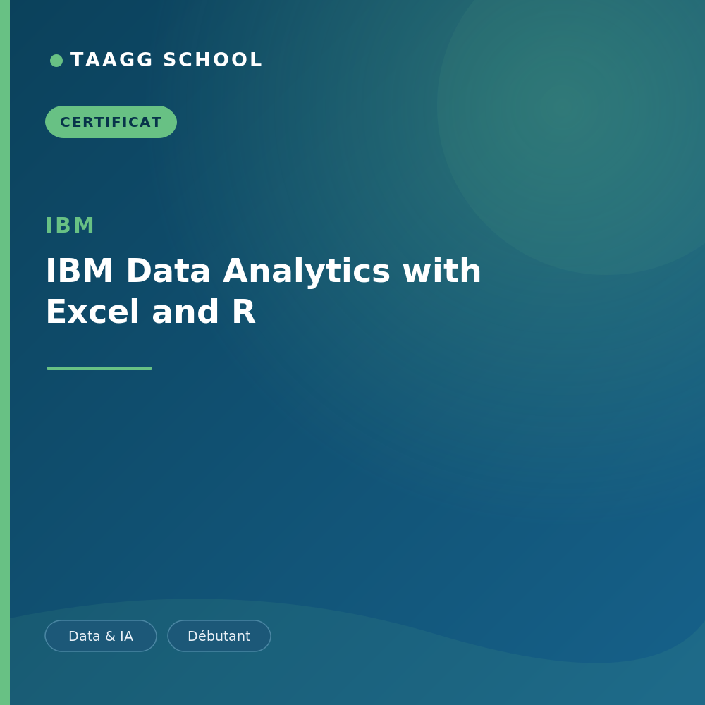 IBM Data Analytics with Excel and R