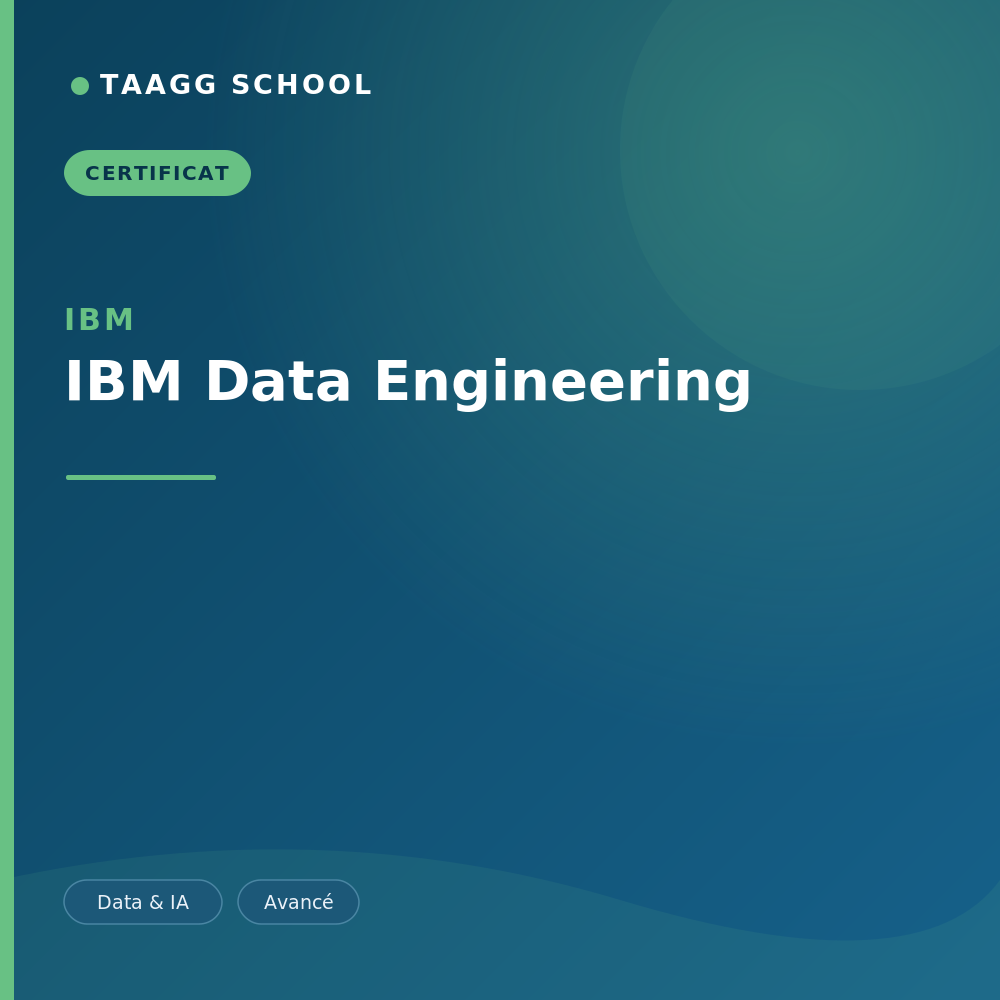 IBM Data Engineering