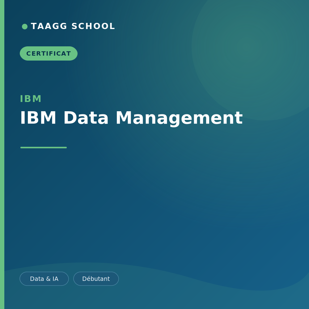 IBM Data Management