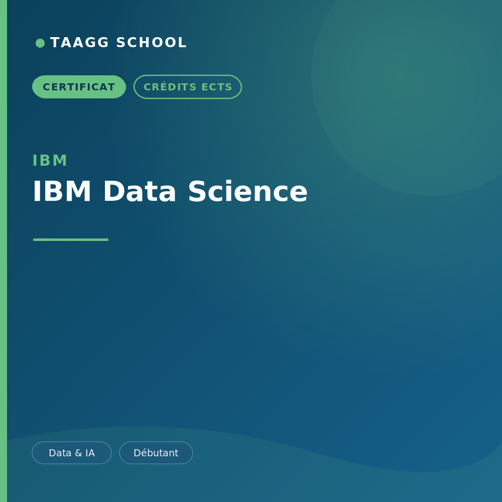 IBM Data Science