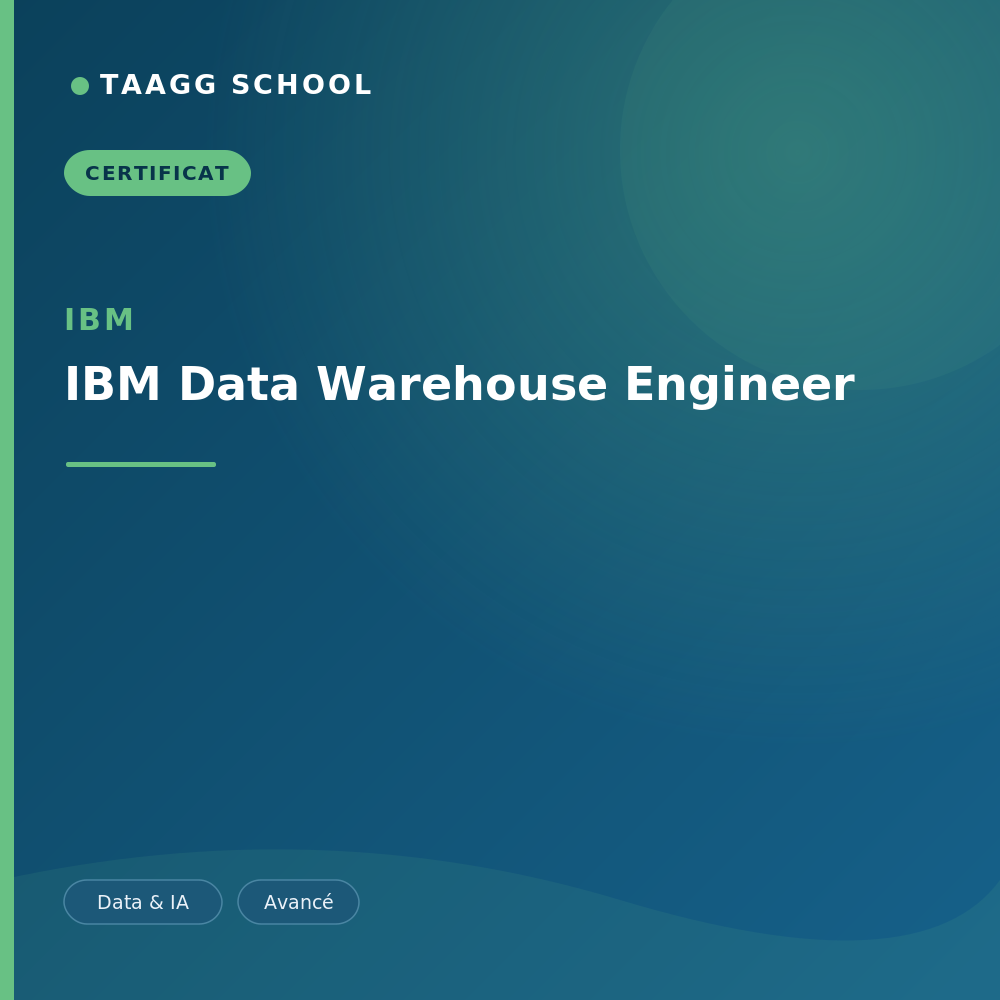 IBM Data Warehouse Engineer