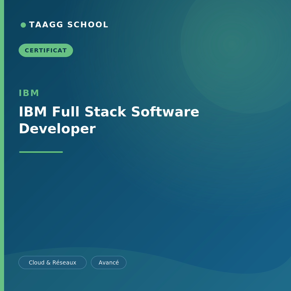 IBM Full Stack Software Developer