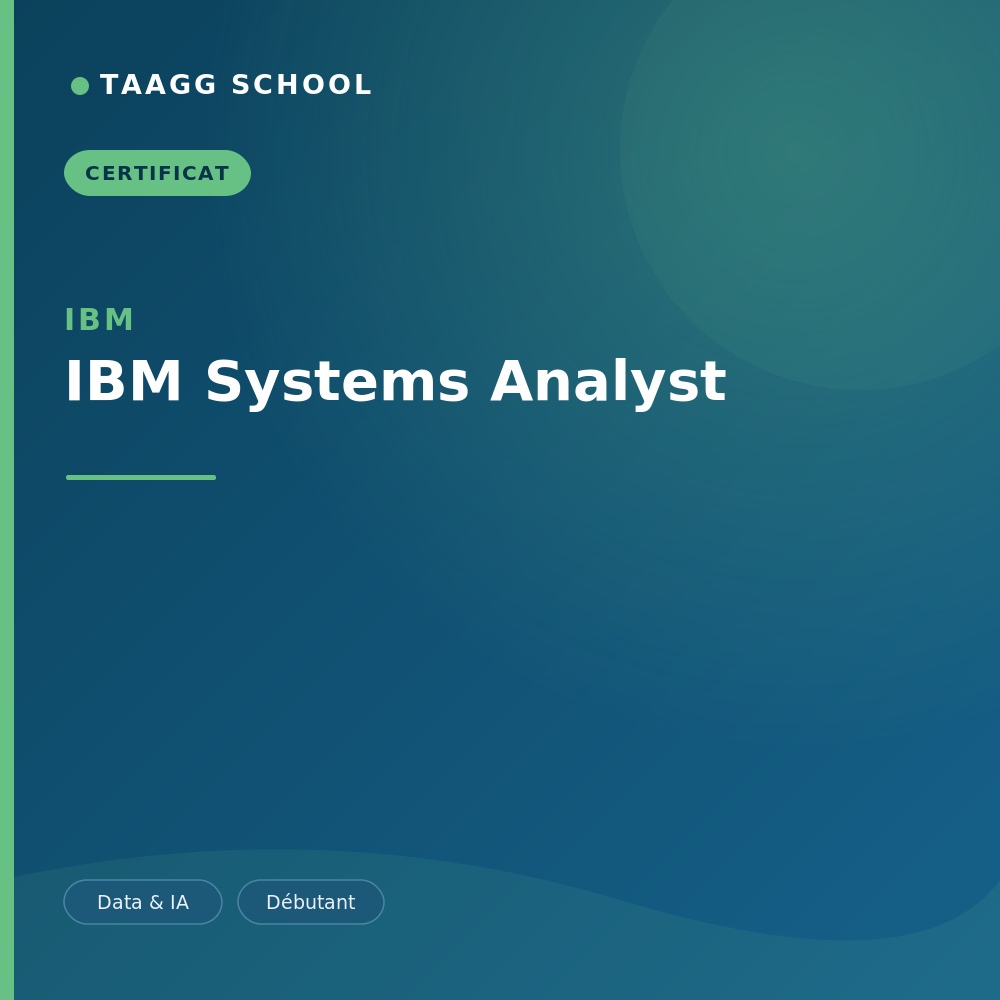 IBM Systems Analyst