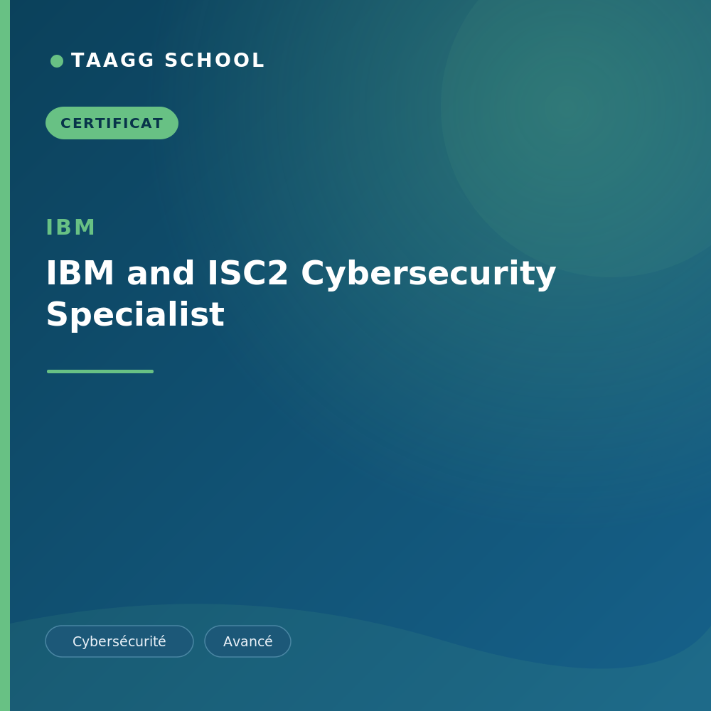 IBM and ISC2 Cybersecurity Specialist