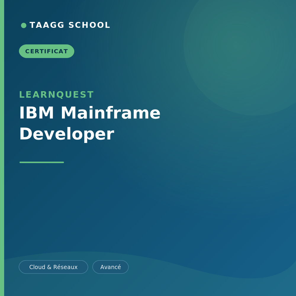 IBM Mainframe Developer