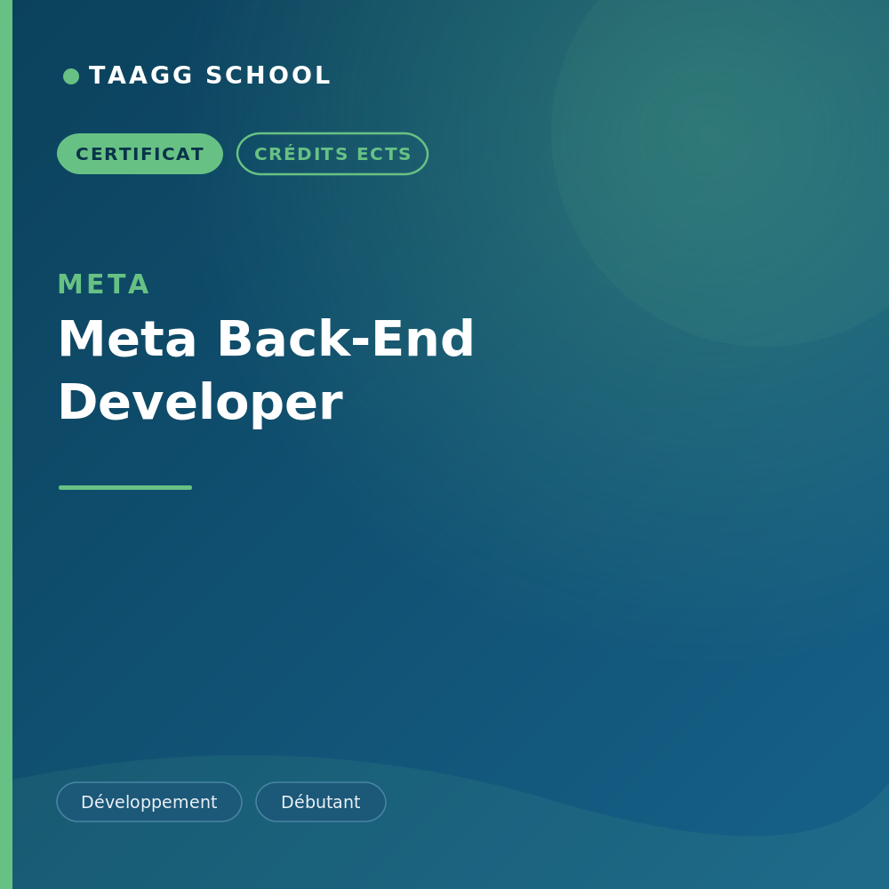Meta Back-End Developer