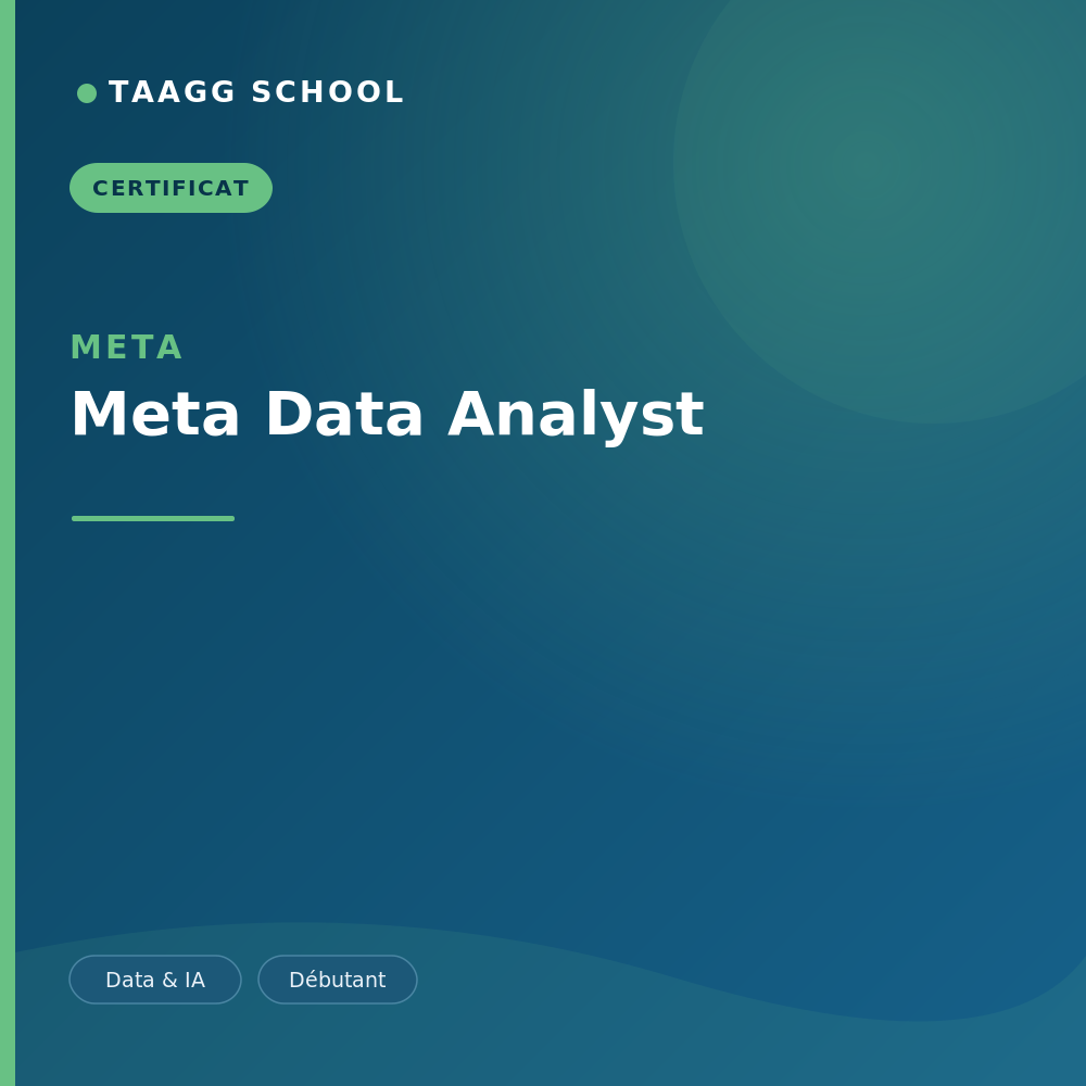 Meta Data Analyst
