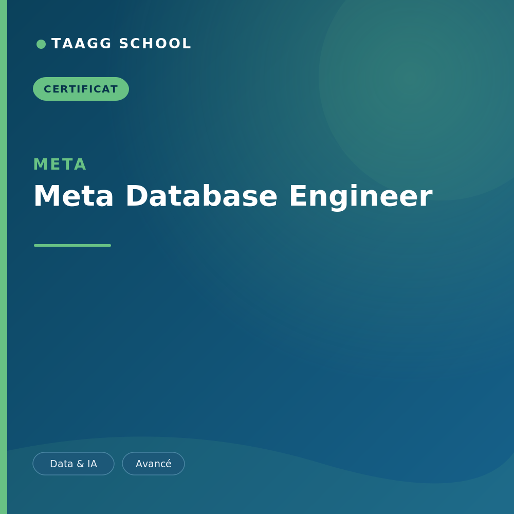 Meta Database Engineer