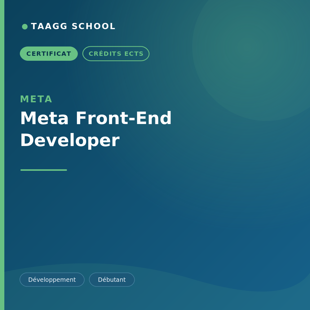 Meta Front-End Developer