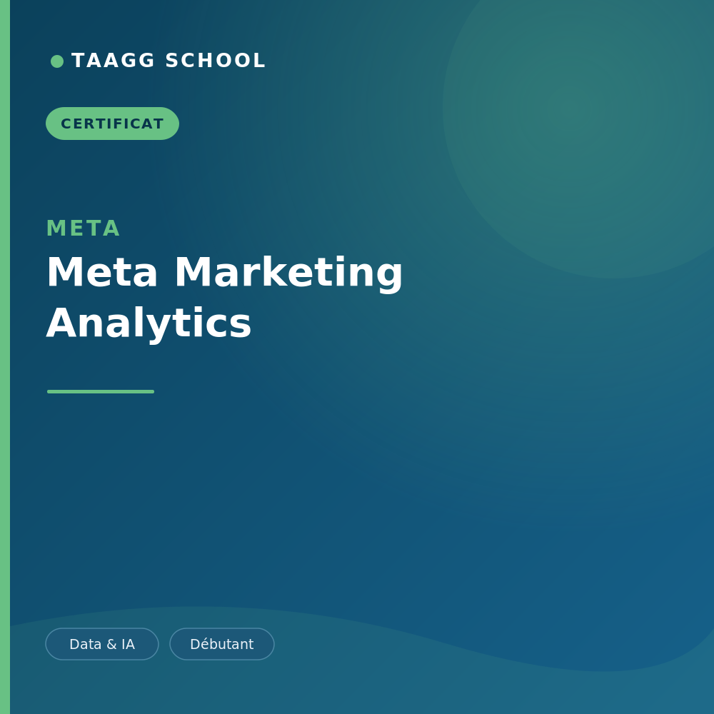 Meta Marketing Analytics