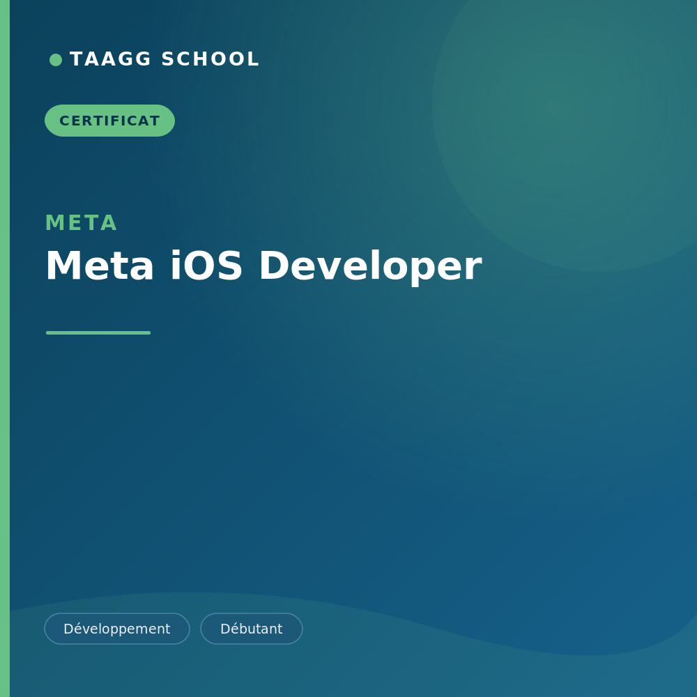 Meta iOS Developer