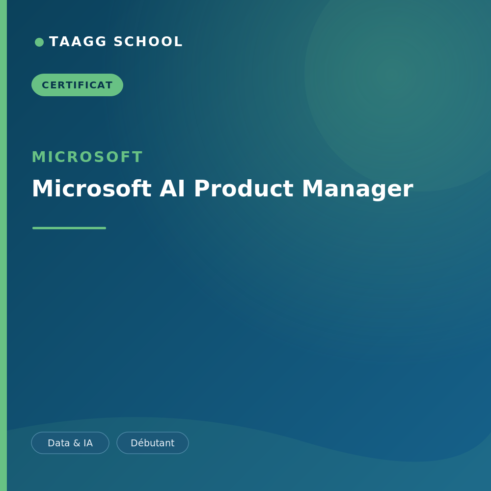 Microsoft AI Product Manager