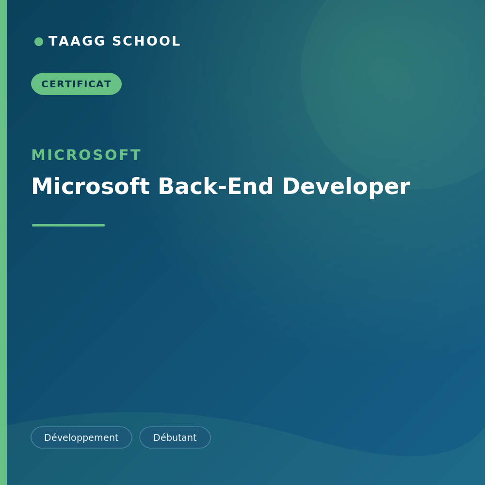 Microsoft Back-End Developer