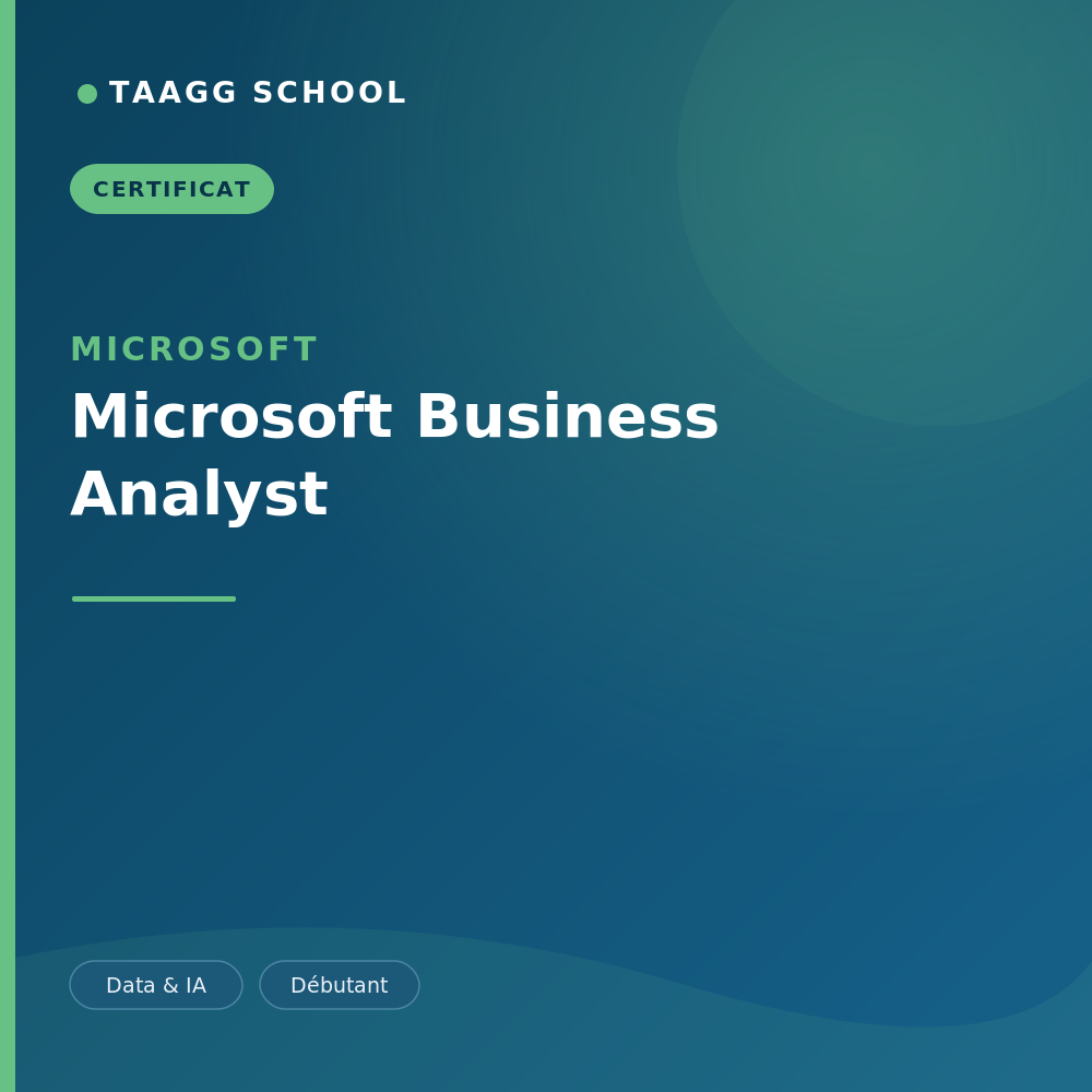 Microsoft Business Analyst
