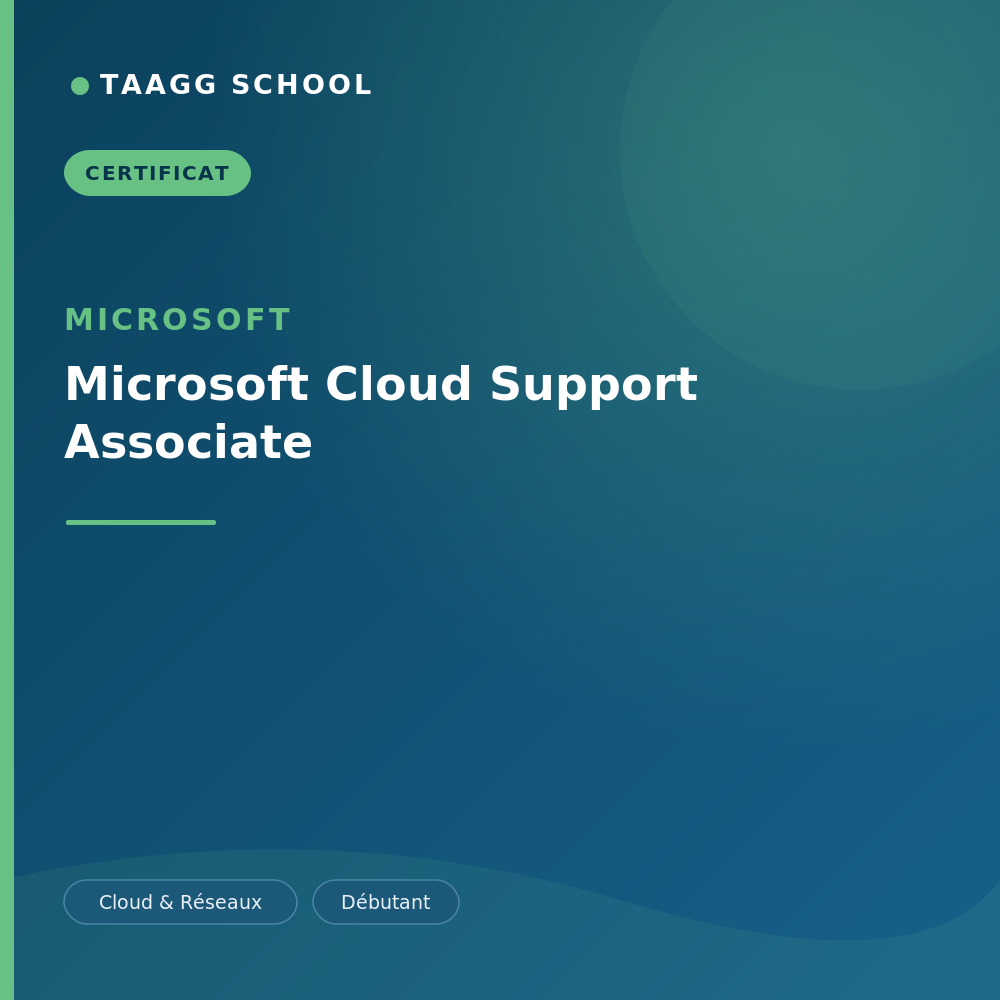 Microsoft Cloud Support Associate