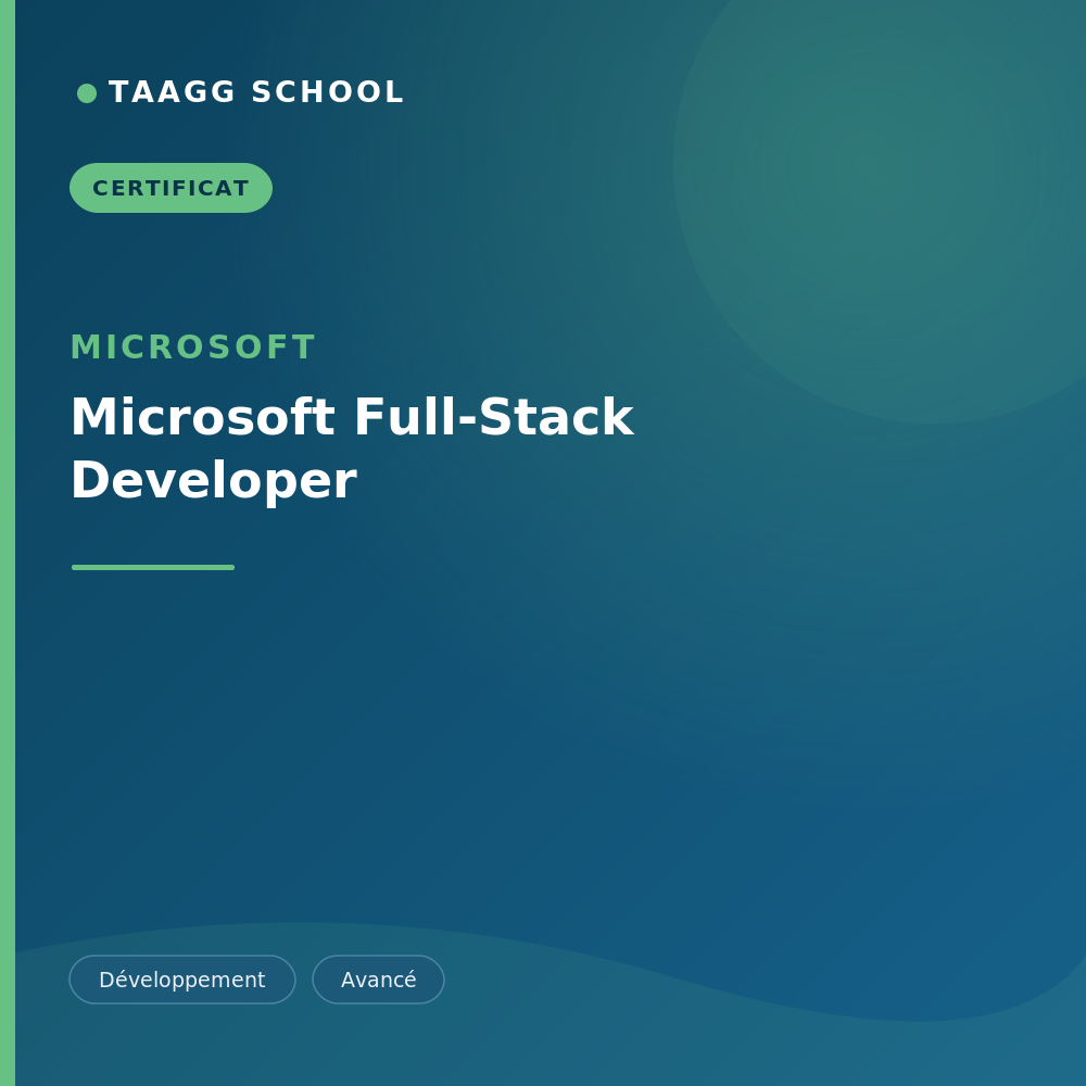 Microsoft Full-Stack Developer