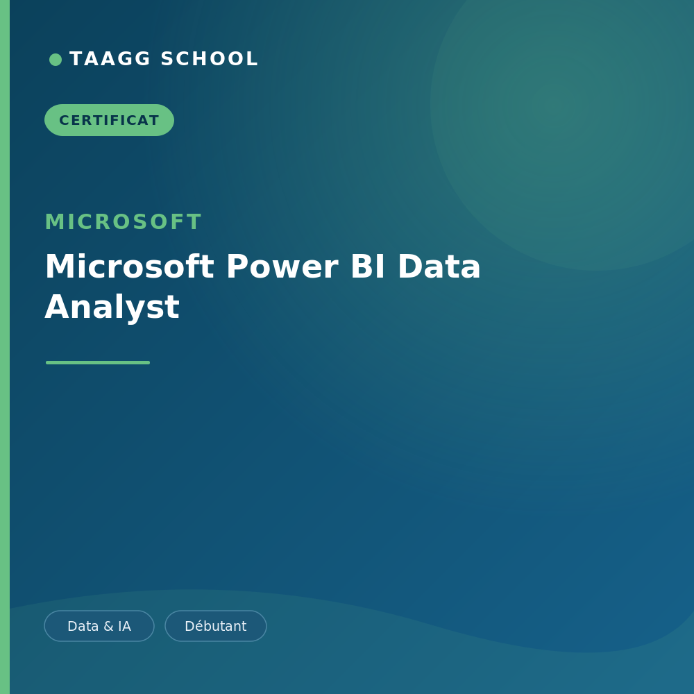 Microsoft Power BI Data Analyst