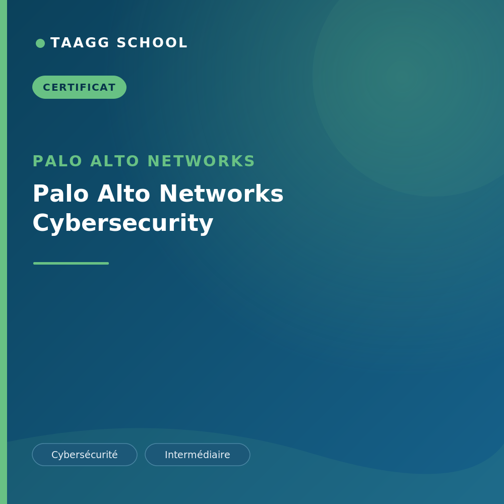 Palo Alto Networks Cybersecurity