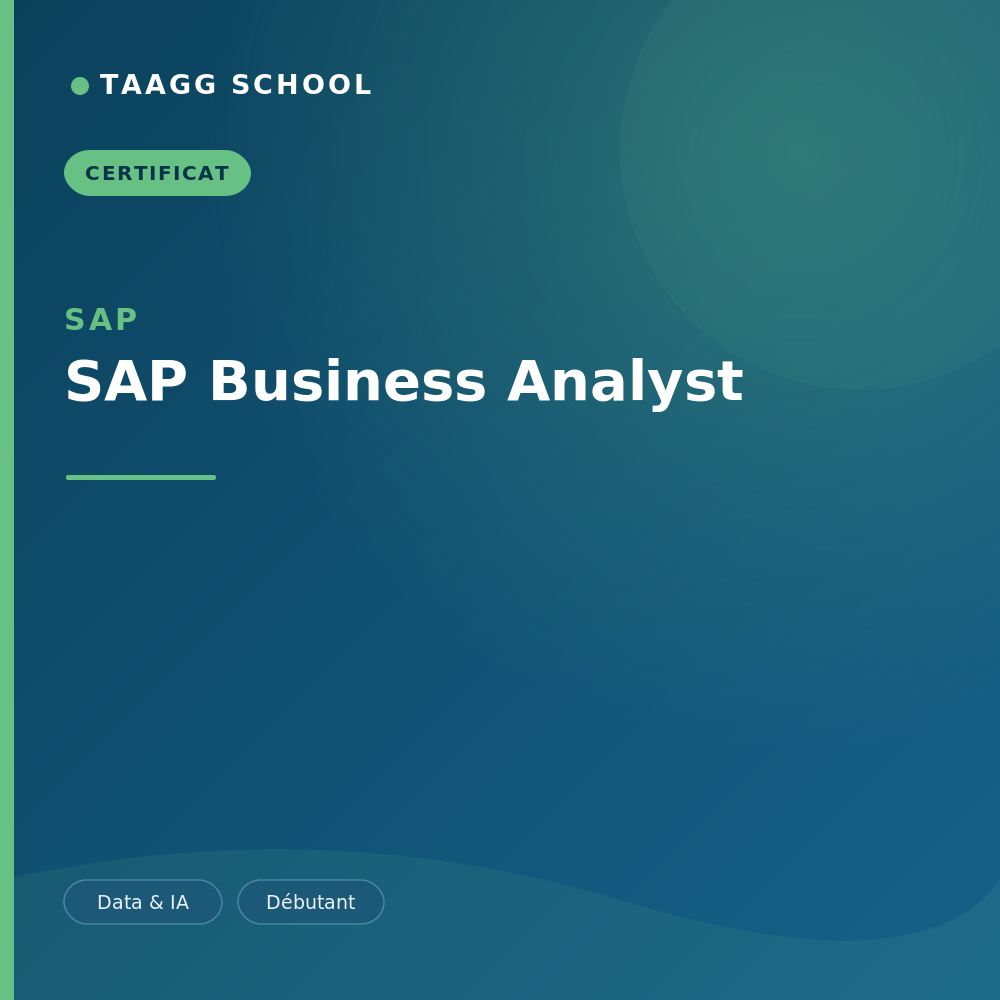 SAP Business Analyst