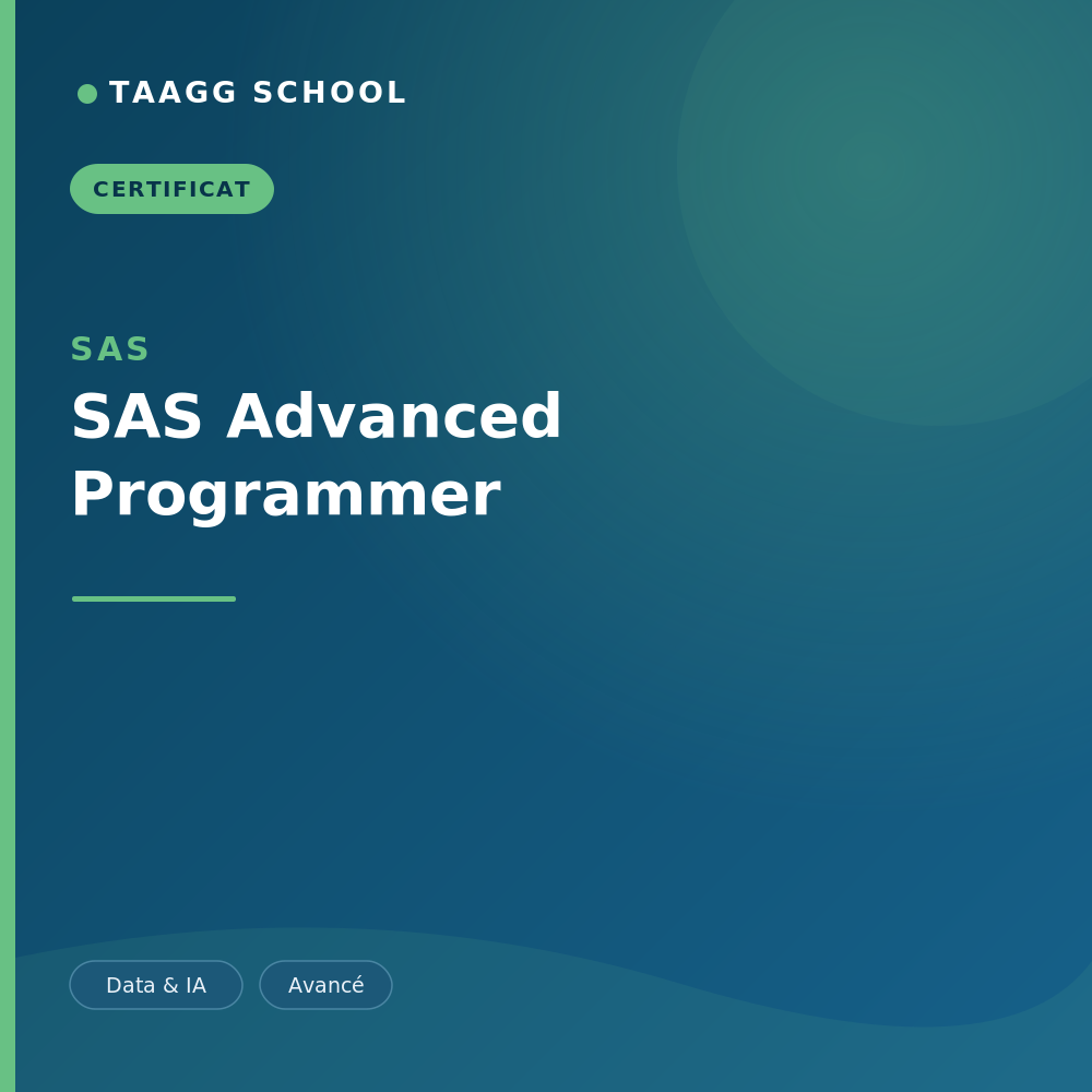 SAS Advanced Programmer