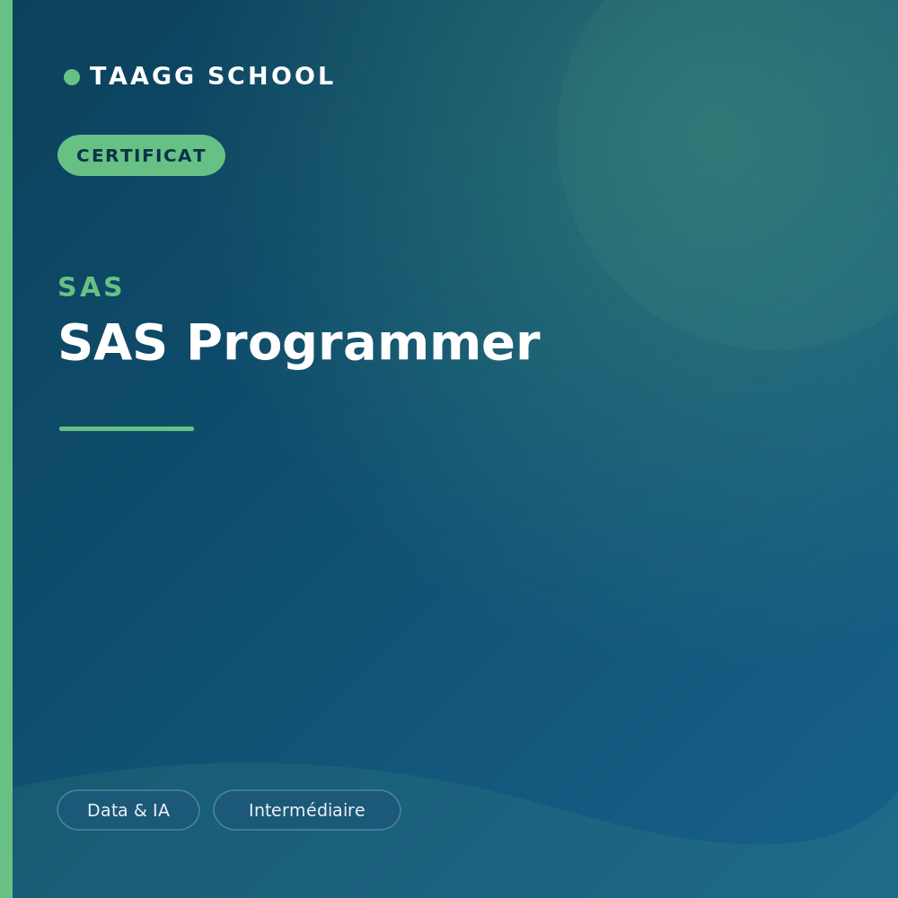SAS Programmer