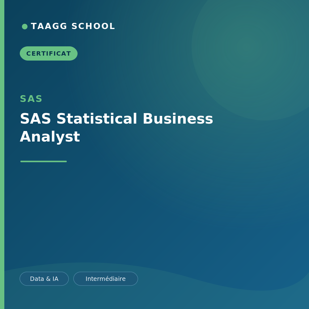 SAS Statistical Business Analyst