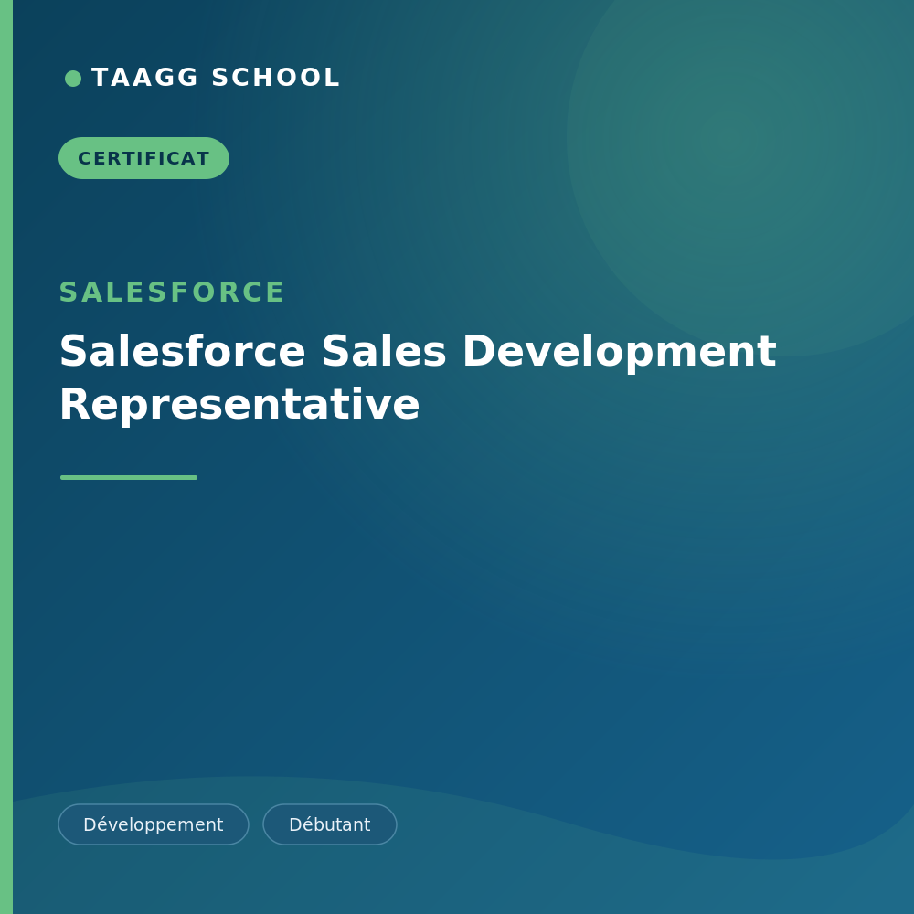 Salesforce Sales Development Representative