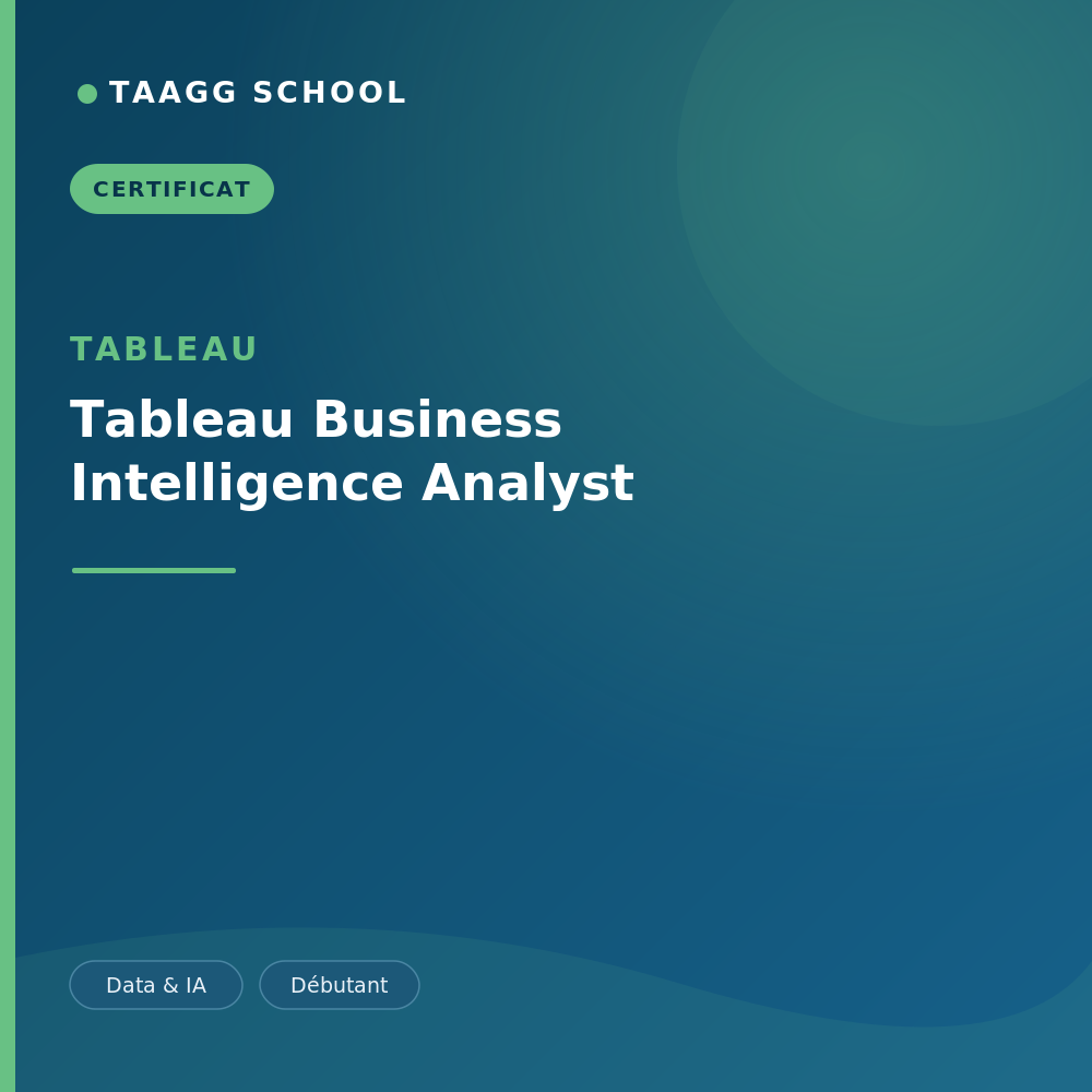 Tableau Business Intelligence Analyst