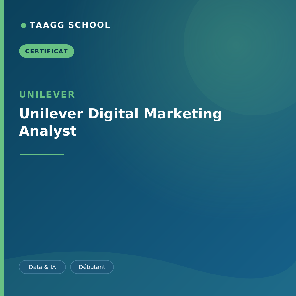 Unilever Digital Marketing Analyst
