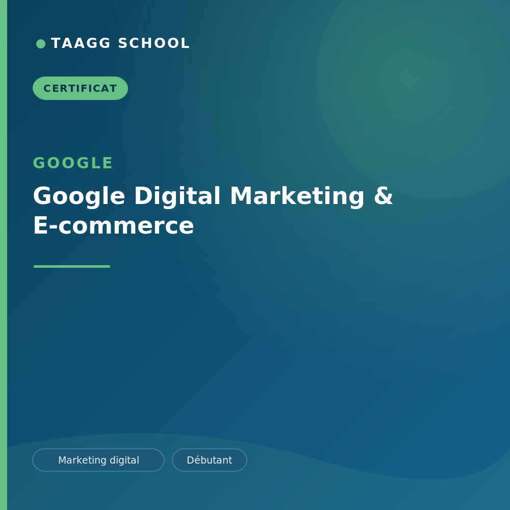 Google Digital Marketing & E-commerce
