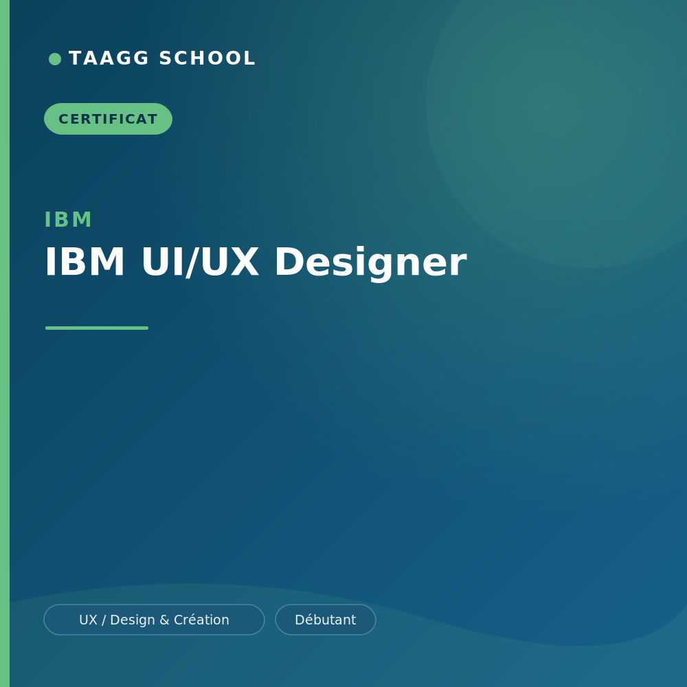 IBM UI/UX Designer