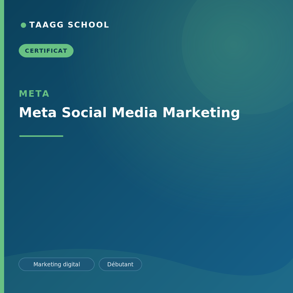 Meta Social Media Marketing