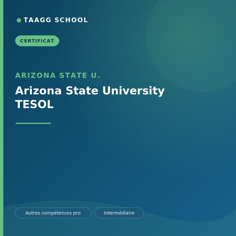 Arizona State University TESOL