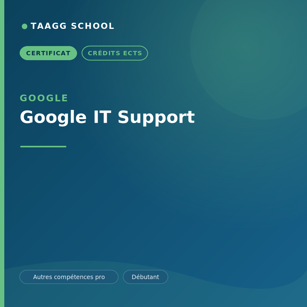 Google IT Support