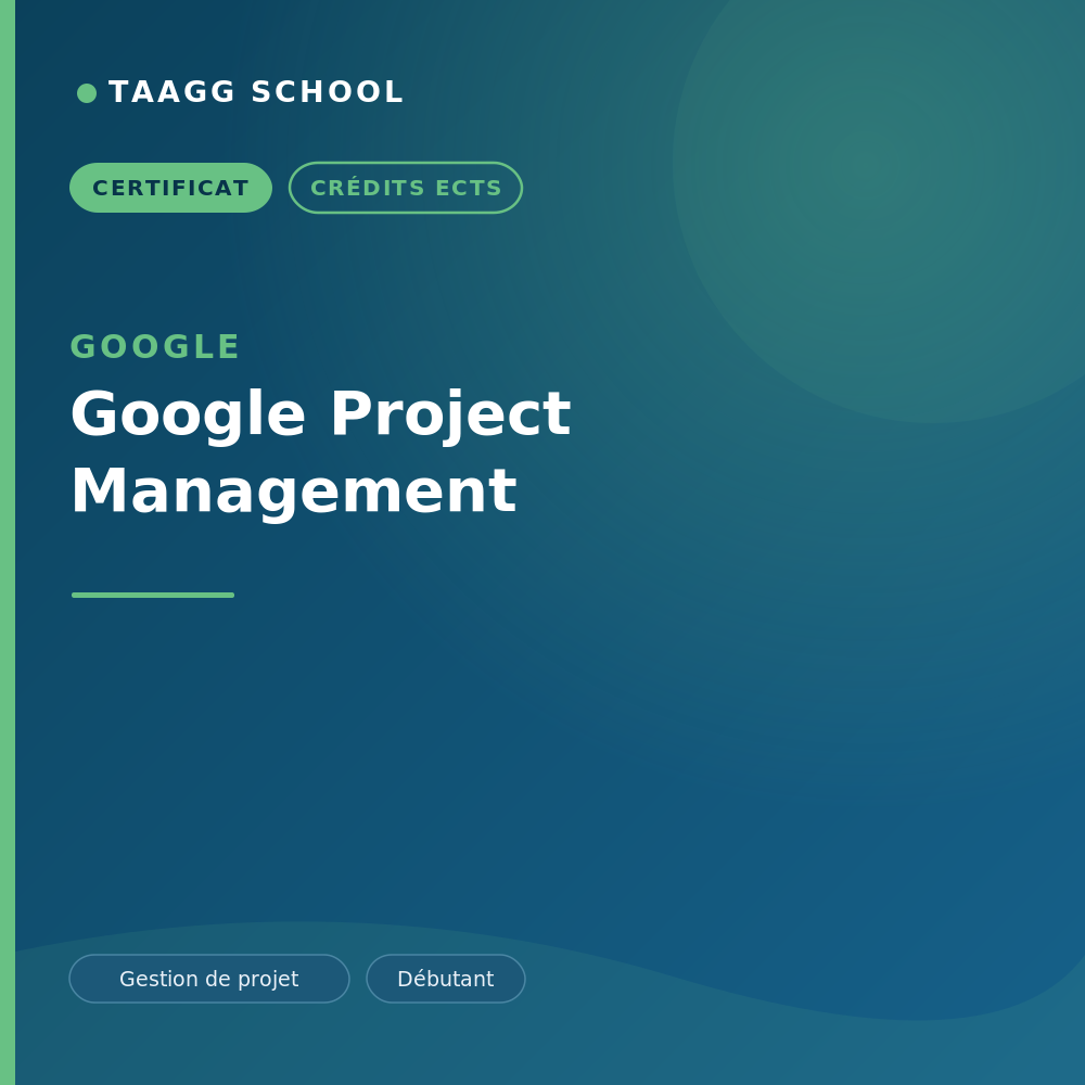 Google Project Management