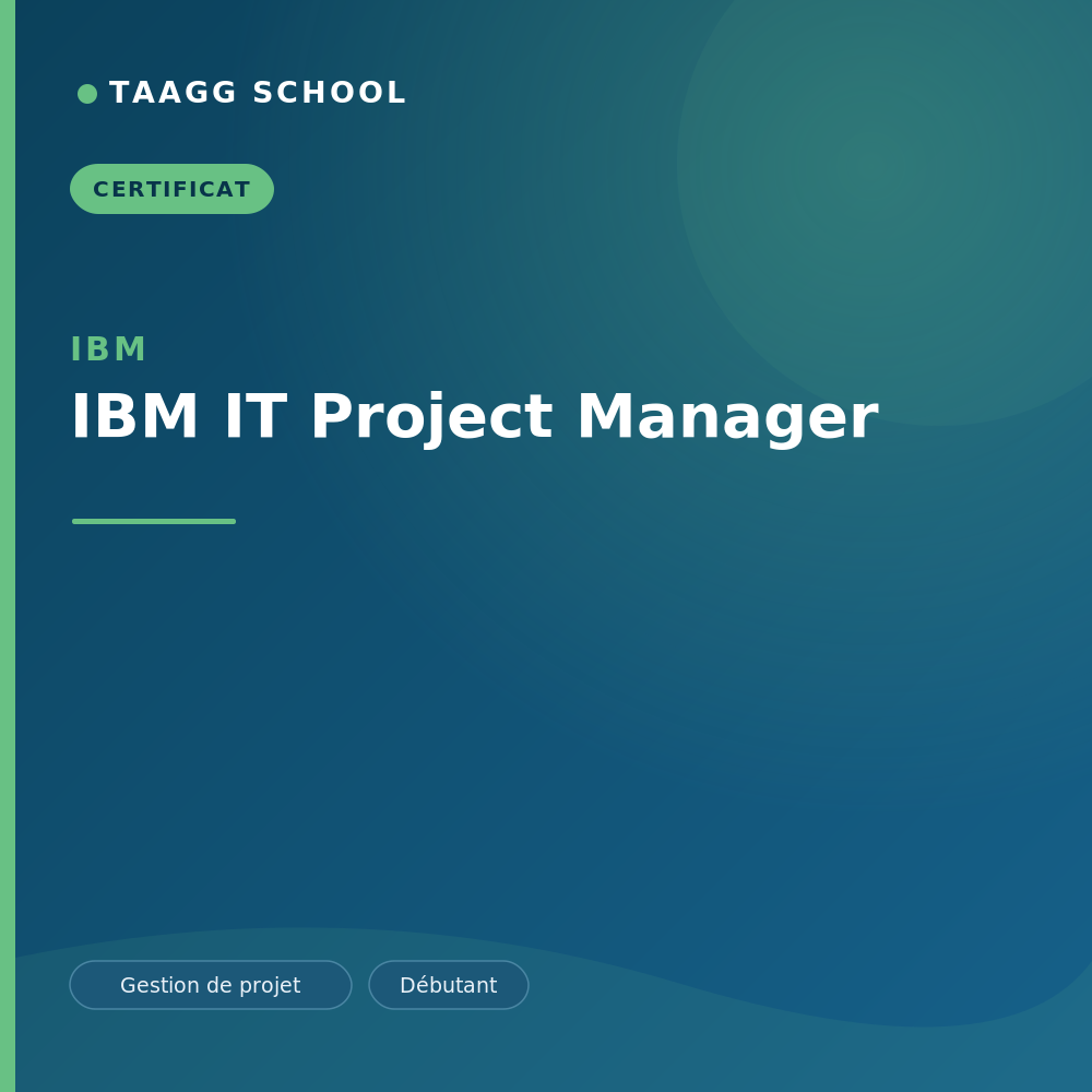 IBM IT Project Manager