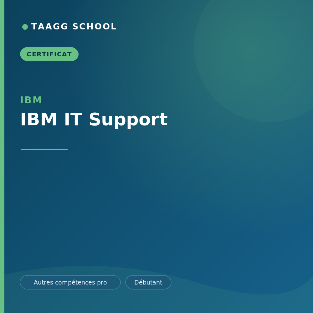 IBM IT Support