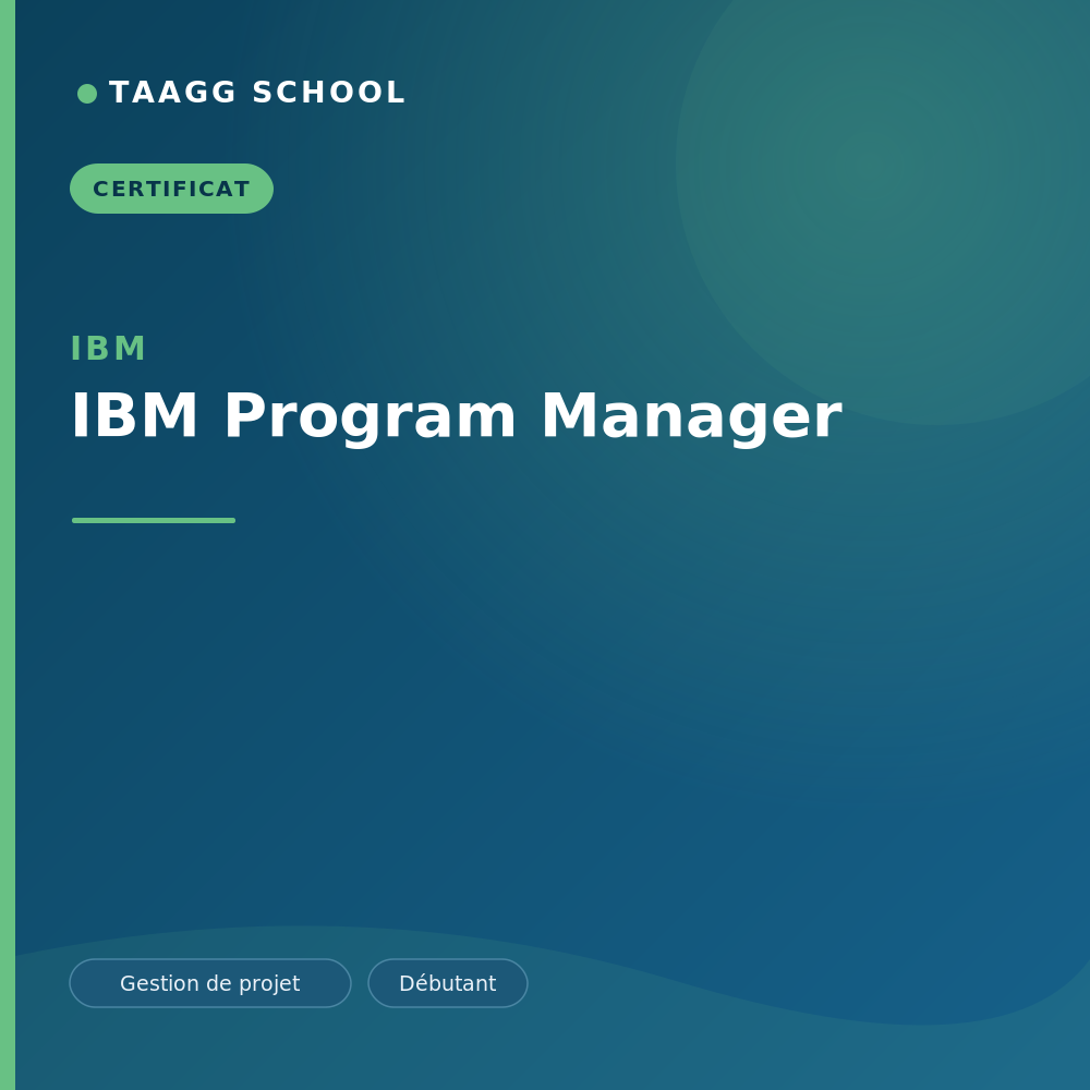 IBM Program Manager