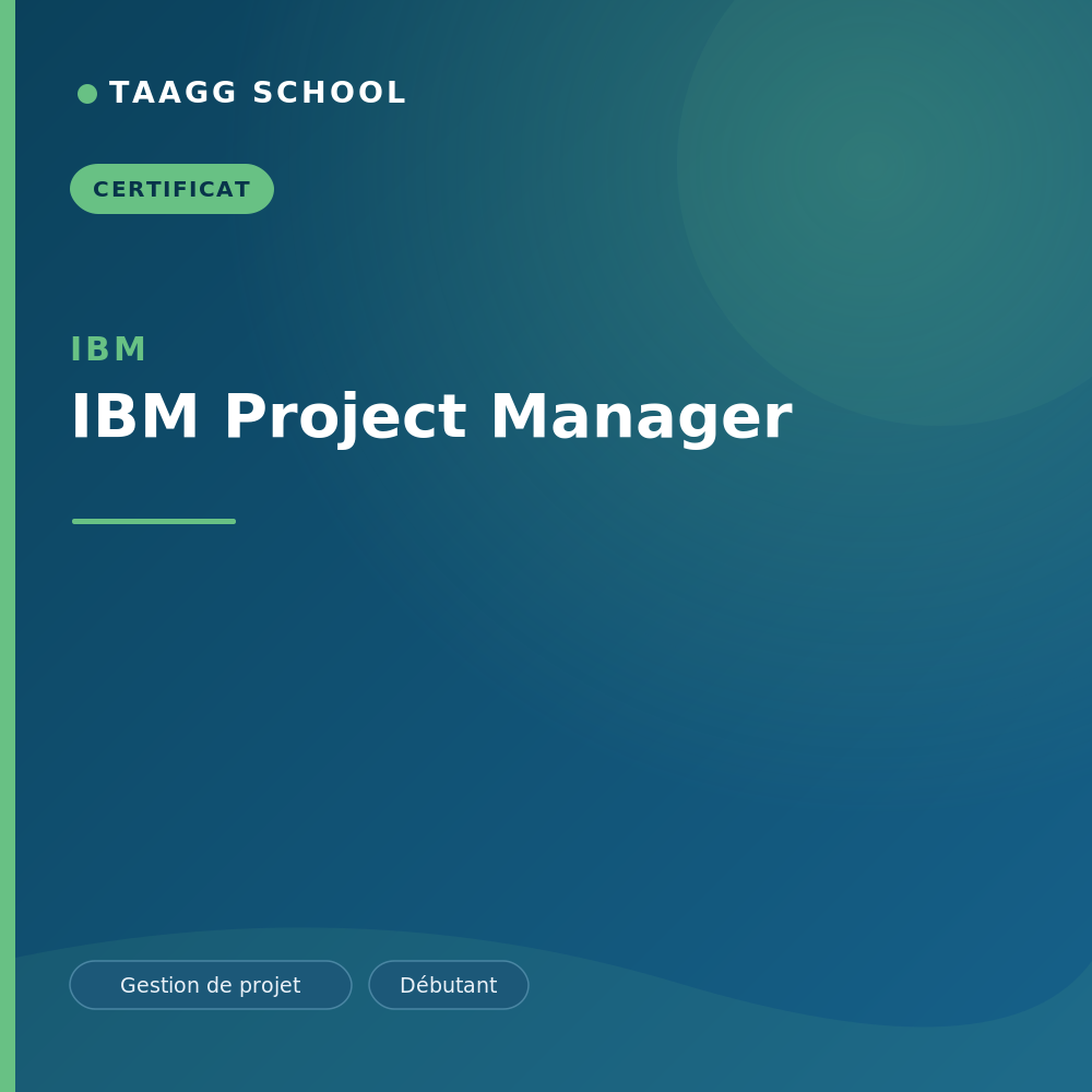 IBM Project Manager