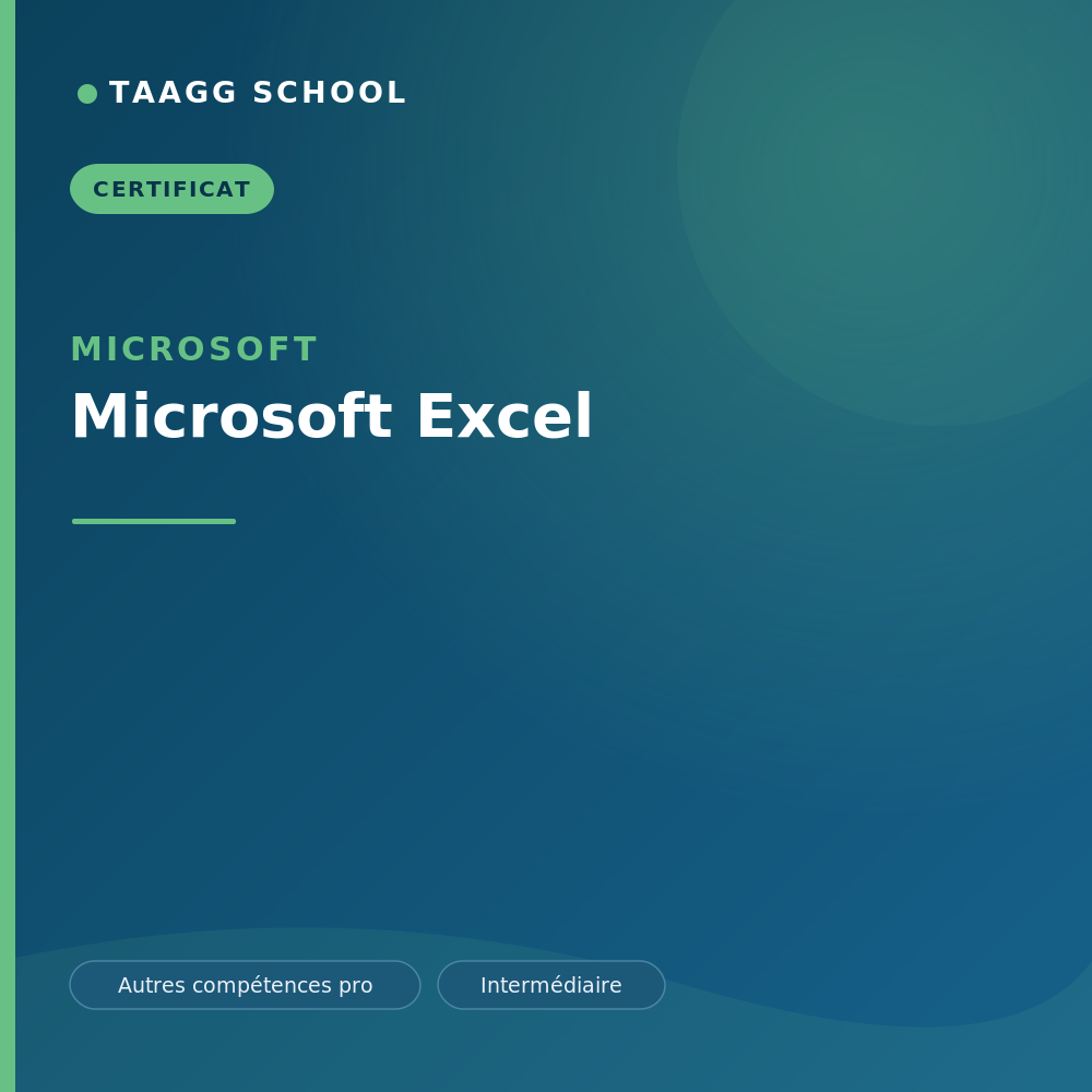Microsoft Excel