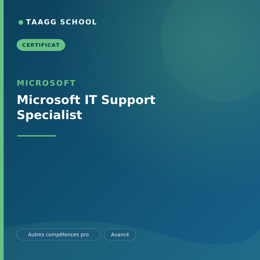 Microsoft IT Support Specialist
