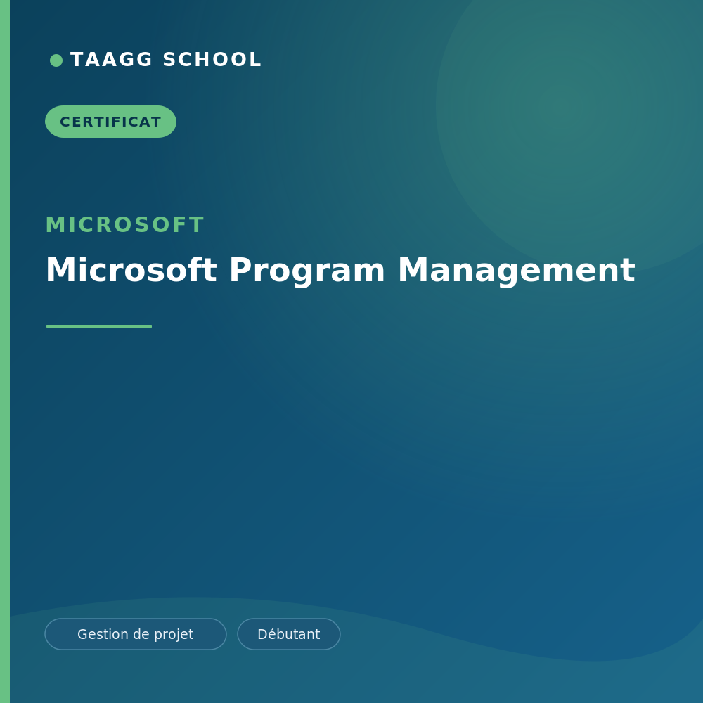 Microsoft Program Management