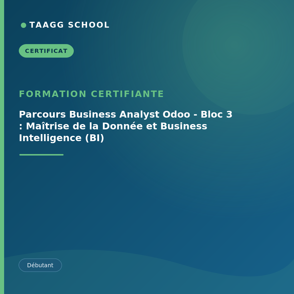 Parcours Business Analyst Odoo - Bloc 3 : Maîtrise de la Donnée et Business Intelligence (BI)