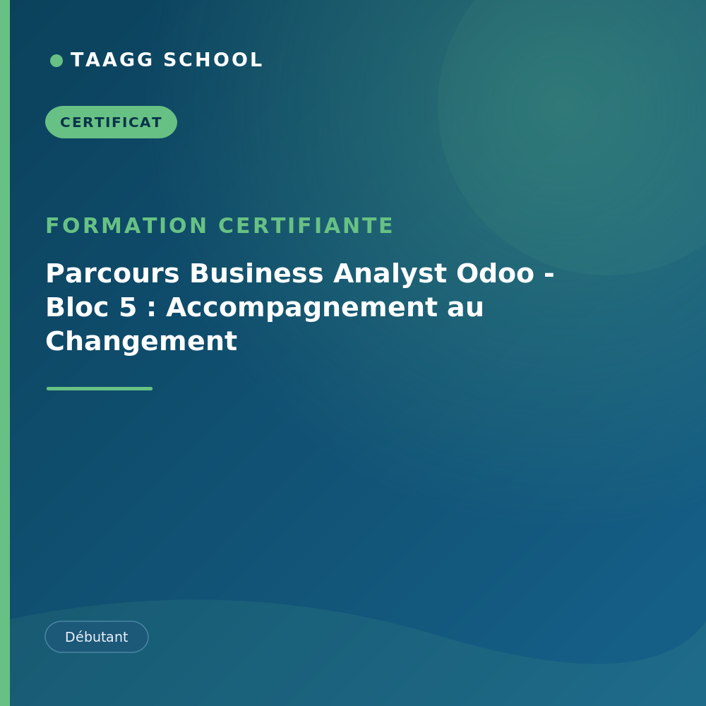 Parcours Business Analyst Odoo - Bloc 5 : Accompagnement au Changement